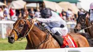 Tiffany, Possiblemente Punch Breeders' Cup Tickets with Kentucky Downs Turf Stakes Wins